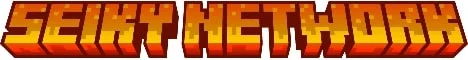 Bannière du serveur Seiky Network