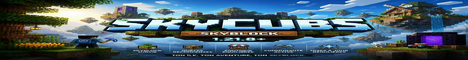 Banner SkyCubs