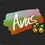 avas.cc