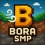 Logo Bora SMP