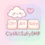 Logo CtrlAltSally SMP